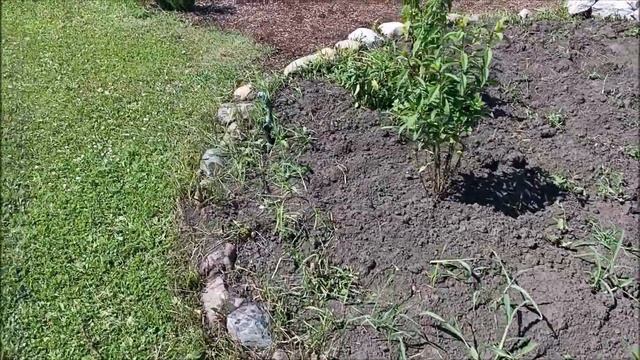 #4 Побег  из деревни. Свистун. Самые вкусные кабачки,  пе смотреть онлайн