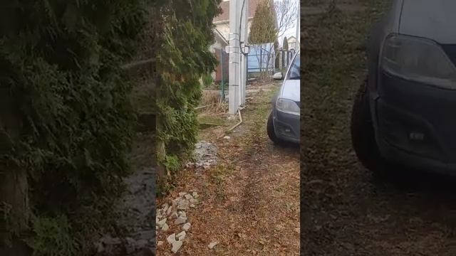 Правила пользования территориями общего пользования, т.ч. дорогой смотреть онлайн