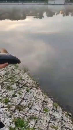 1000071913.mp4
