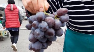 Виноград Виктора Елисеева 2021 сентябрь