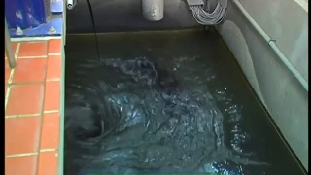 Секретная карта Москвы водоочистных систем - не показ? смотреть онлайн