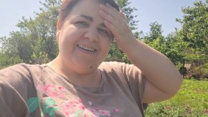 Борщ на обед, а вареники на ужин
