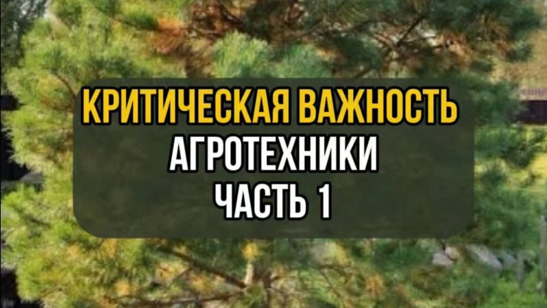 Критическая важность агротехники. Часть 1