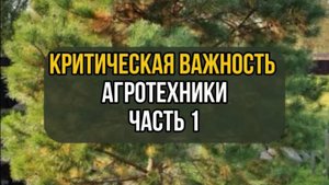 Критическая важность агротехники. Часть 1