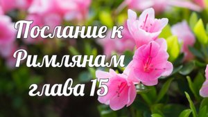 Послание к Римлянам глава 15