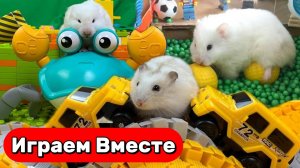 Забавные приключения хомяка в лабиринте 🐹 Машинка, краб и бассейн с шариками ! Для детей