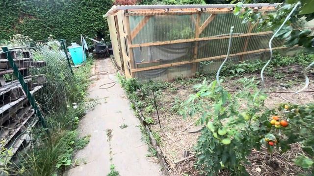 Обрезка персика.#здоровье #дача #сад #garden #огород смотреть онлайн