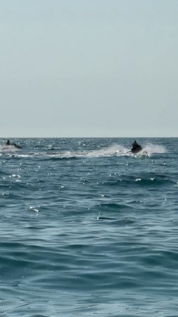 IMG_4025