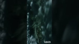 neuromatrix