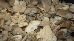 Гречка с вешенками