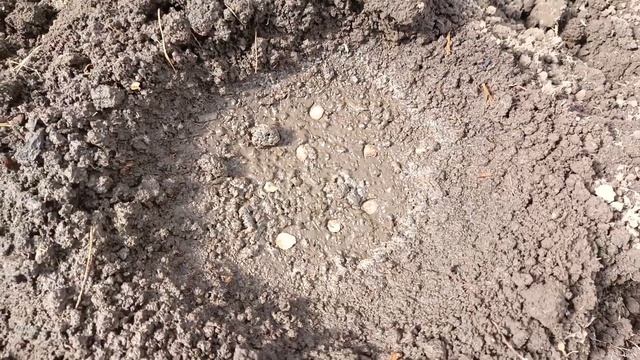 Апрель🌿 Огородные дела 🌿 смотреть онлайн