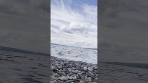 Видео для медитации, шум реки
