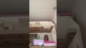 1000001487.mp4