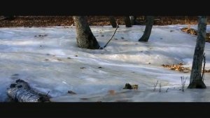 Реклама Ауди 2013 -  Россия. Территория Кватро