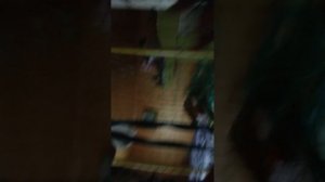1000020432.mp4