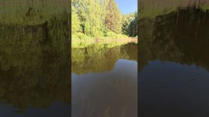 По озеру на сапе