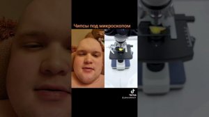 Чипсы под микроскопом