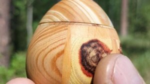 Шкатулка в июньском лесу с колокольчиками