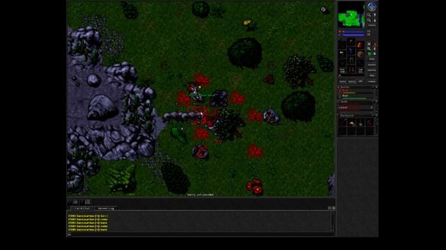 7# RECENZJA GRY TIBIA z Pablem Давайте играть в смотреть онлайн