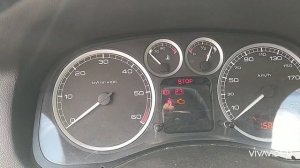 Удаление сажевого фильтра на Peugeot 307 2.0HDi, обзор по факт?