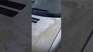 Astrohim "жидкий чехол", как снять?  #авто