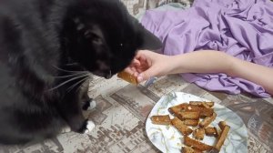 Кошка ест гренки с чесноком)