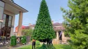 Елка Версальская (литая)