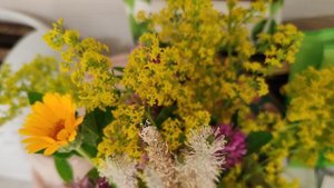 Букет полевых цветов, счастливая жизнь в деревне, деревенская атмосфера