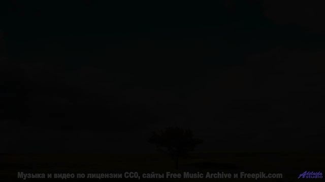Леса поют, а сердце замирает при этом треке - Halfway Home (Instrumental) -- Forget the Whale -- Tak