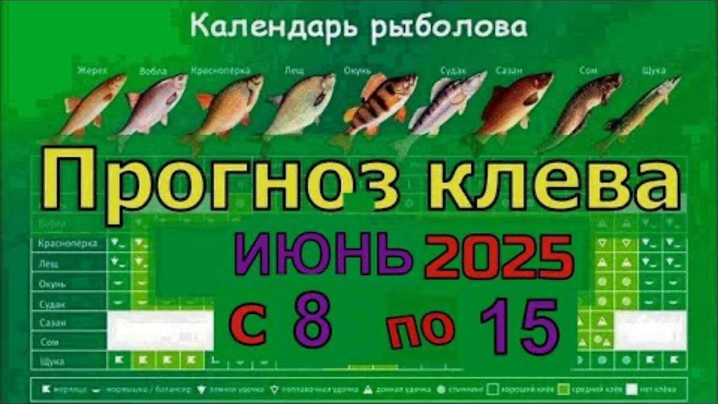 Когда клюёт в июне? Рыбак раскрывает ЛУЧШИЕ дни для улова! 🐟