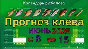 Когда клюёт в июне? Рыбак раскрывает ЛУЧШИЕ дни для улова! 🐟