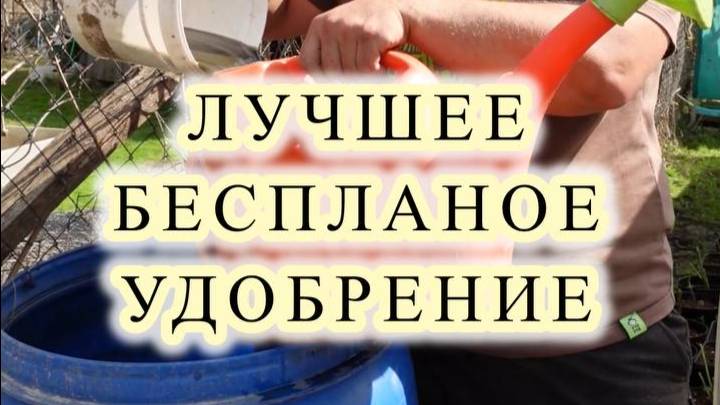 ВОТ ЗАЧЕМ ВЫРАЩИВАЮ ПОЛЯ И ЗАРОСЛИ КРАПИВЫ 😉.