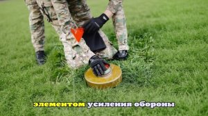 В Финляндии парламентский комитет одобрил выход страны из Оттавской конвенции