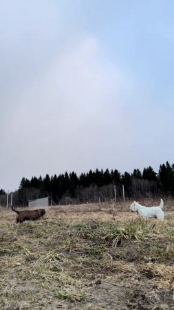 Лучшие сауны в России🖤🇷🇺