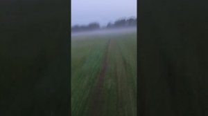 покатушки туман