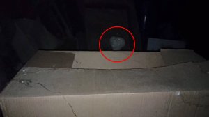 Страшные видео с загадочными существами ужасными призраками