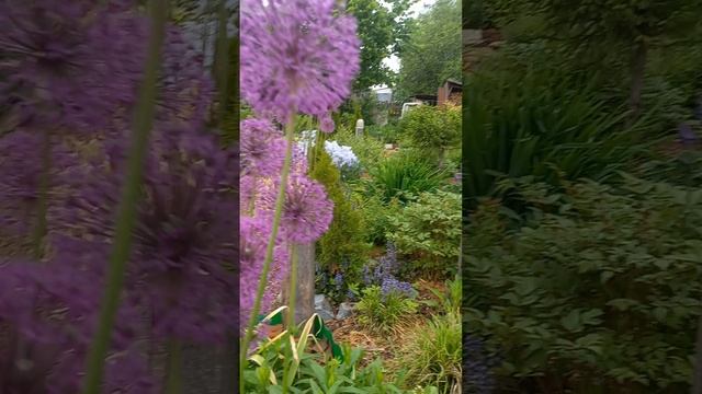1000010802.mp4