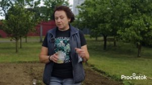 СМЕЛО СЕЙТЕ В ИЮНЕ! Фасоль взойдет быстро и дружно и порадует хорошим урожаем, если посеете ее так