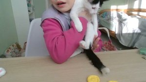 кот
мяусь
кракатусь