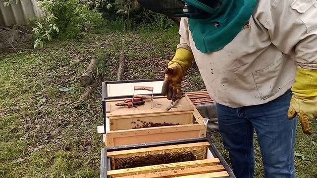 Узбекские пакеты 2. Пересадка. смотреть онлайн