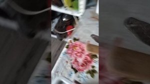 1000006361.mp4