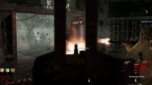 Выживание на "Shi No Numa" | Call Of Duty: World At War Зомби