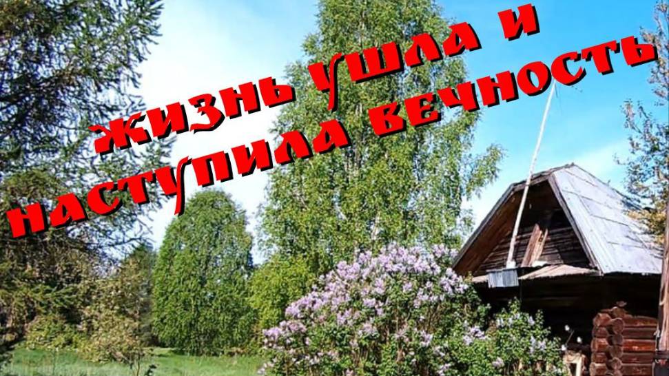Люди здесь больше не живут / Прогулка по заброшенной деревне
#заброшки #металлокоп2025 #находки