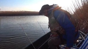 АСТРАХАНСКАЯ РЫБАЛКА НА САЗАНА И ЖЕРЕХА