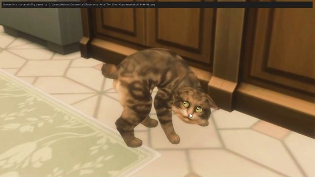 `` неудачное свидание | династия Бирнс | ep 1.7. | The Sims 4 `` смотреть онлайн