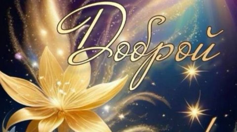 Пожелания доброй и спокойной ночи ✨ #новыепожеланияспокойнойночи