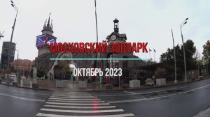 Московский зоопарк. Октябрь 2023. Что получилось снять