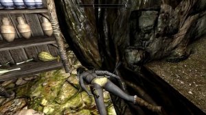 Скайрим. PROJECT AHO (Проект ЭГО) - сюжетный мод. Прохождение