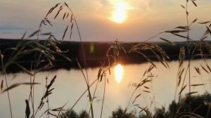 11 июня. Вечерняя прогулка