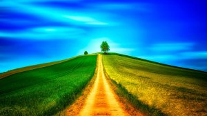 ФОНОВАЯ МУЗЫКА ДЛЯ УЧЕБЫ И КОНЦЕНТРАЦИИ ВНИМАНИЯ 🌿 МОТИВИРУЮЩАЯ МУЗЫКА ДЛЯ РАБОТЫ ЗА КОМПЬЮТЕРОМ